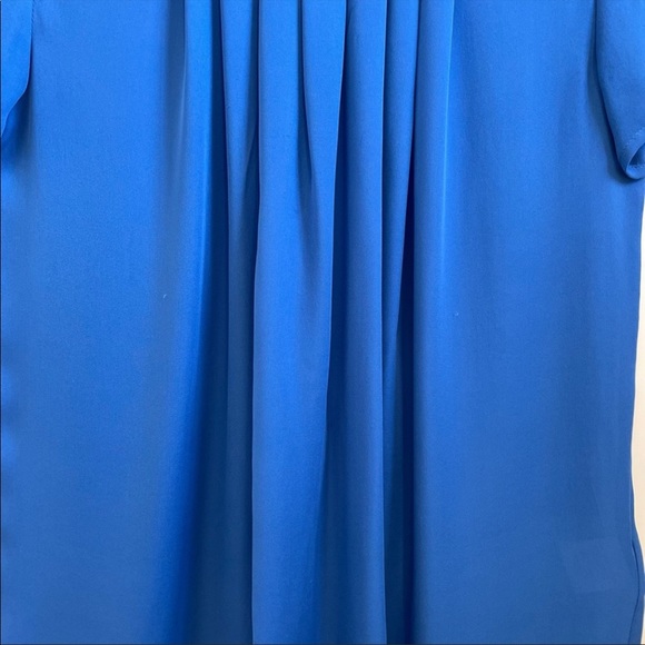 💯% Silk NWOT Joie Blouse - Picture 3 of 4